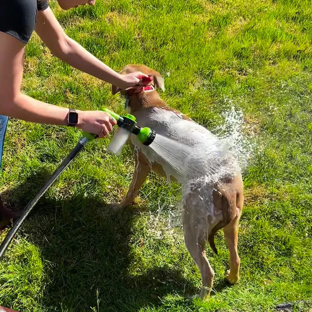 JetPet Plus - O seu cão limpo